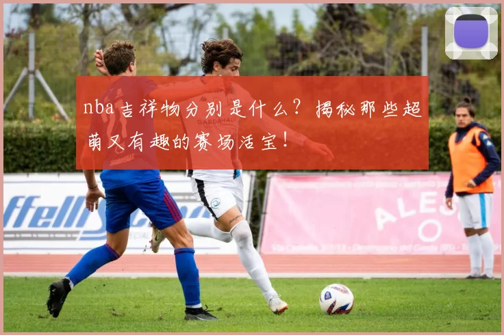 nba吉祥物分别是什么?揭秘那些超萌又有趣的赛场活宝!