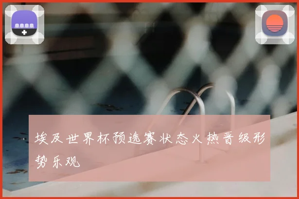 埃及世界杯预选赛状态火热晋级形势乐观
