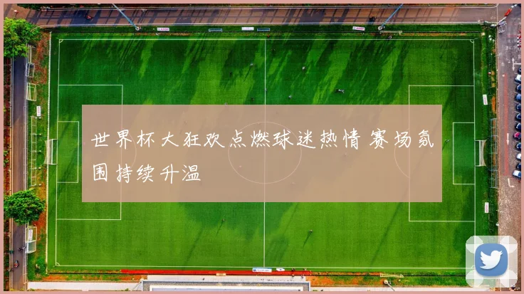 世界杯大狂欢点燃球迷热情 赛场氛围持续升温